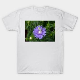 Stokes Aster With White Butterfly T-Shirt